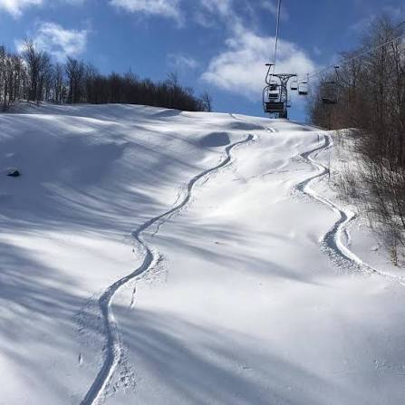 Fresh powder tracks
