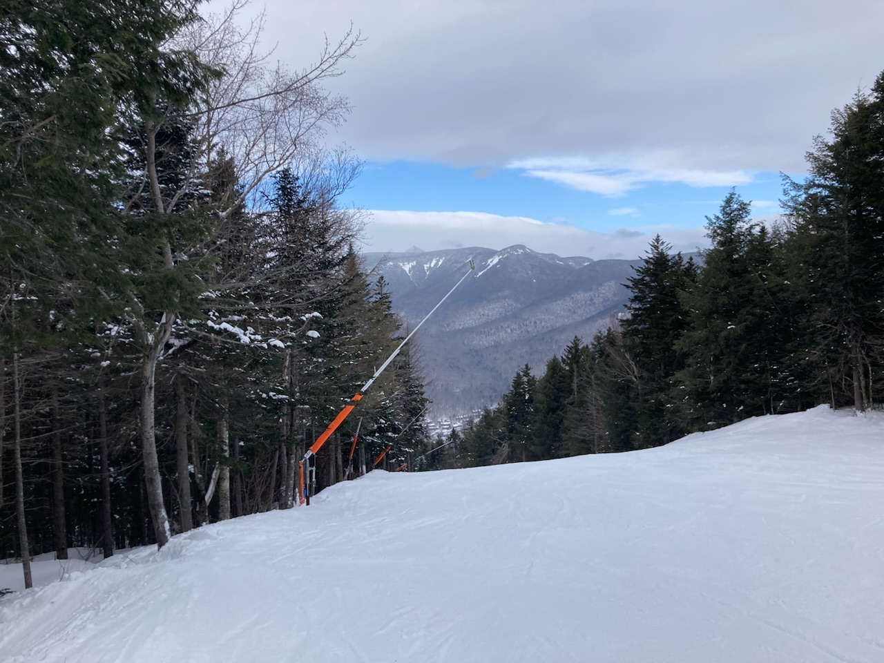 Ski trail through trees